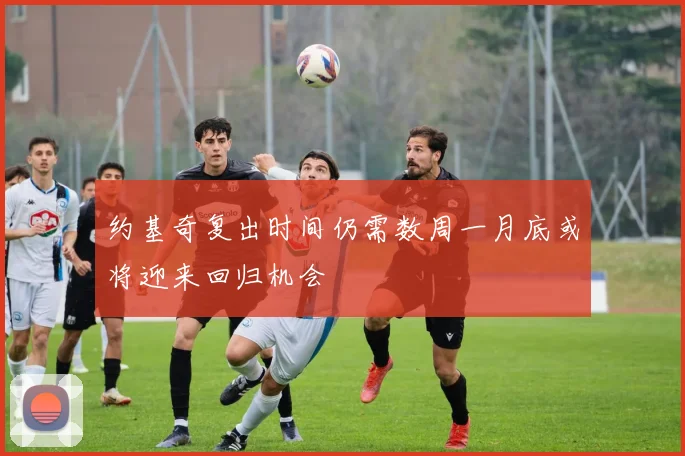 约基奇复出时间仍需数周一月底或将迎来回归机会