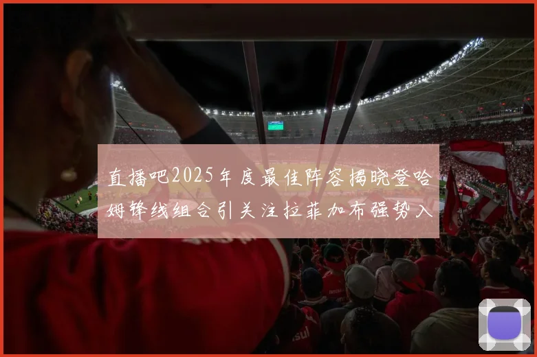 直播吧2025年度最佳阵容揭晓登哈姆锋线组合引关注拉菲加布强势入选