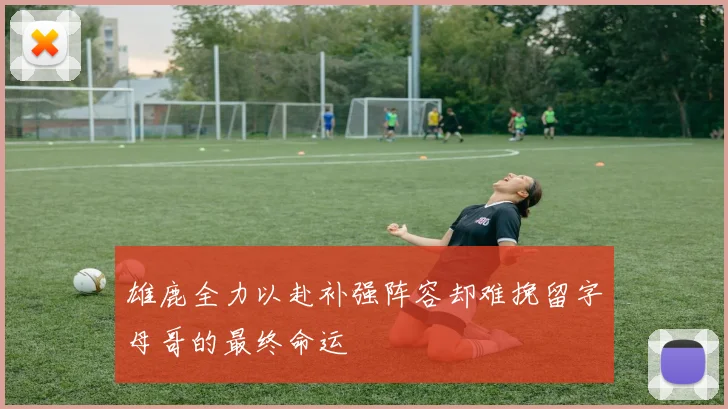 雄鹿全力以赴补强阵容却难挽留字母哥的最终命运