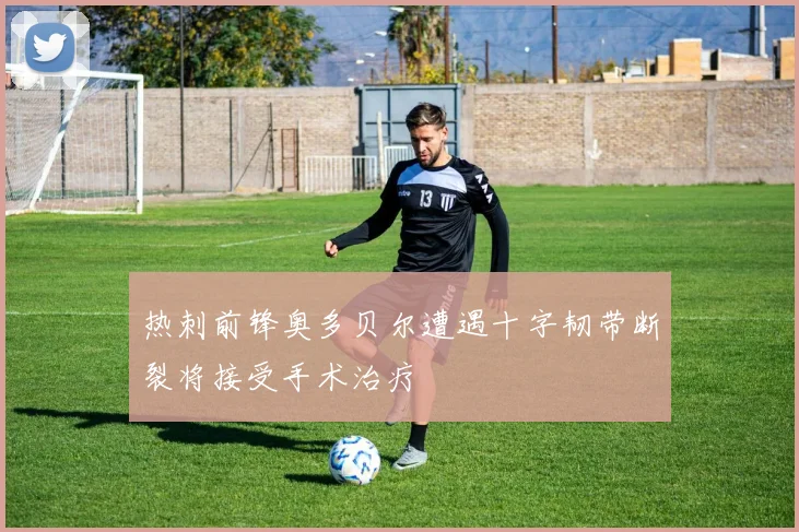 热刺前锋奥多贝尔遭遇十字韧带断裂将接受手术治疗